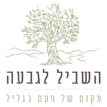 logo-shvil-2020